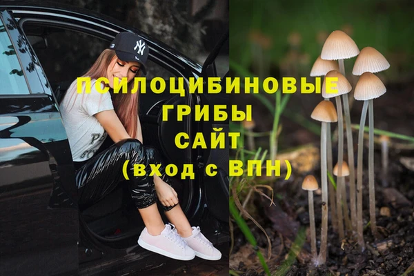 Альфа ПВП Балабаново