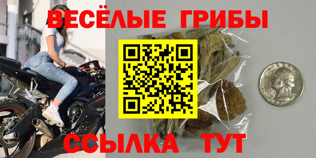 Вольск  Галлюциногенные грибы мицелий  Вход с VPN 